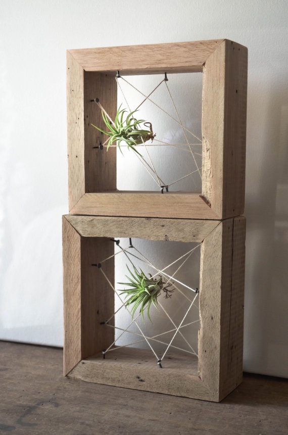 Reclaimed timber Air Plant Holders by Triple7Recycled