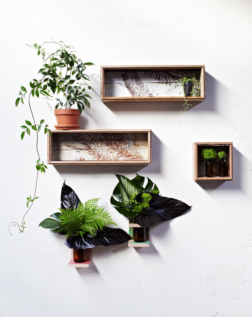 Bonnie & Neil Shadow boxes and timber wall trellis and vases. A more versatile way to get your green on. More #greenwall ideas on the RSD Blog.