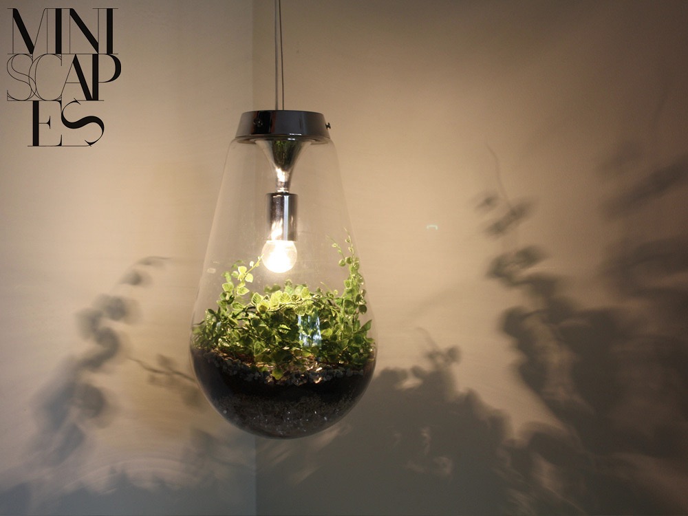 Pendant light with terrarium from Miniscapes