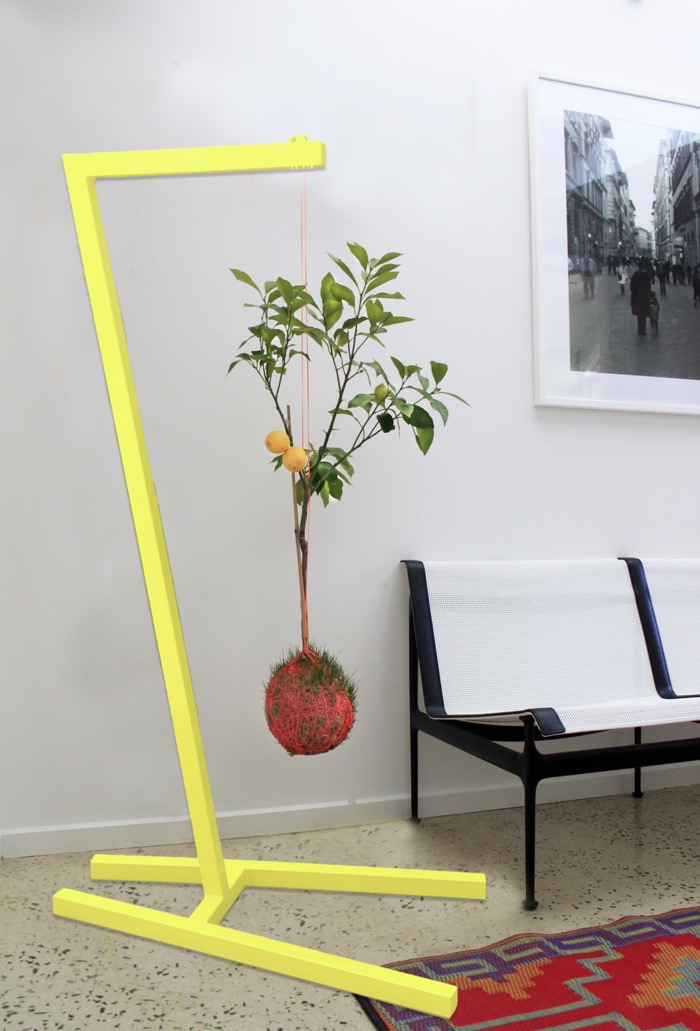 Mister Moss Fibonacci Stand and Lemon tree. More #greenwall ideas on the RSD Blog.
