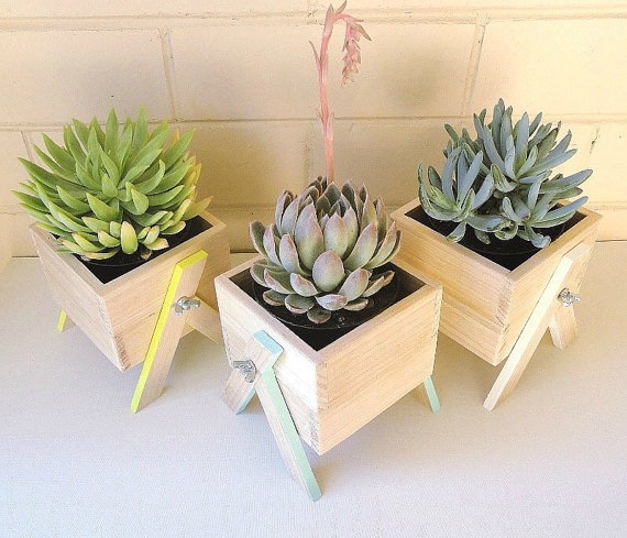 Miniature timber planter boxes by One White Sunday