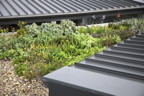 #Green #roof / roof #garden by The Greenwall Company. More #greenwall ideas on the RSD Blog.